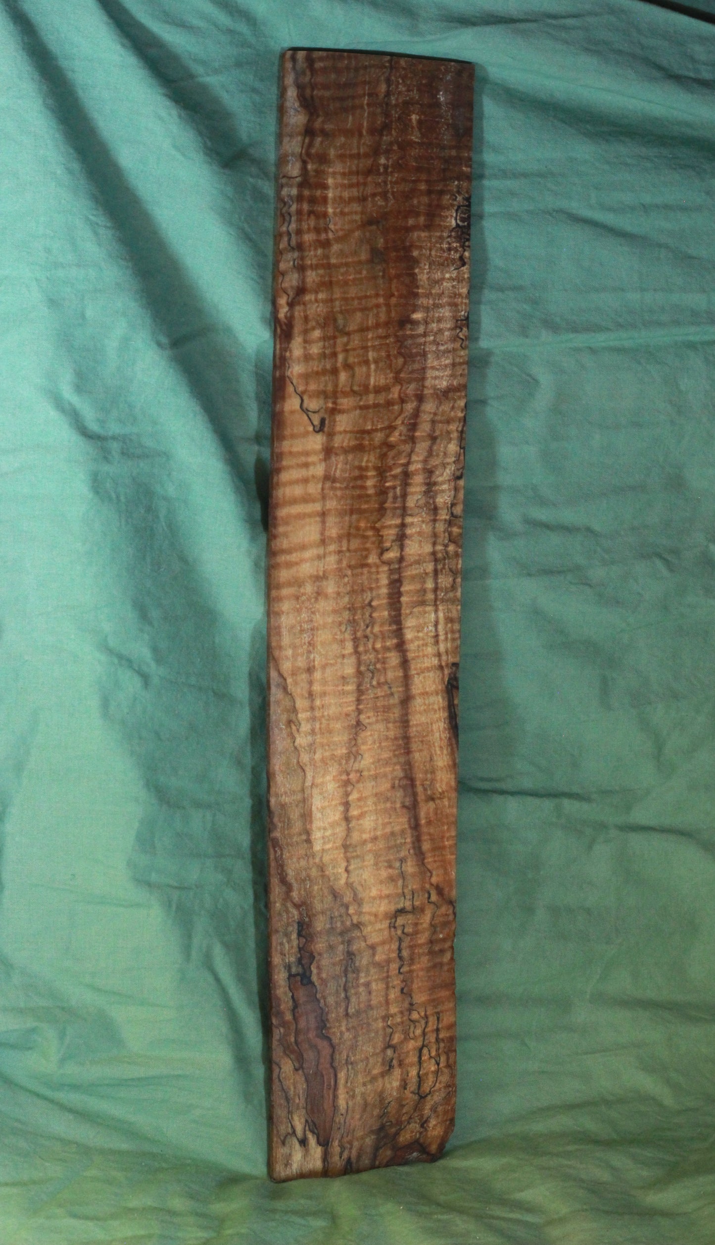 Stabilized Spalted Curly Maple Blank