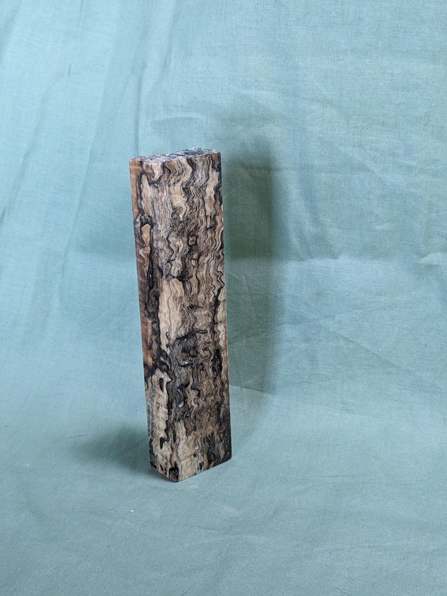 Stabilized Spalted Curly Maple Blank