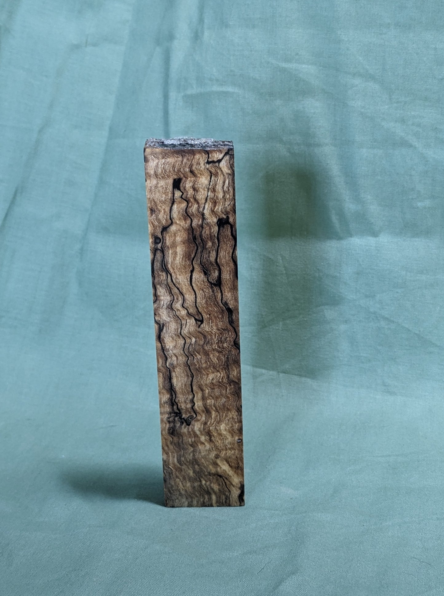 Stabilized Spalted Curly Maple Blank