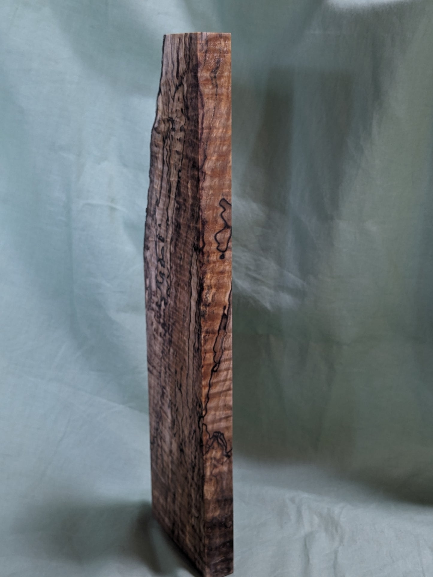 Stabilized Spalted Curly Maple Blank