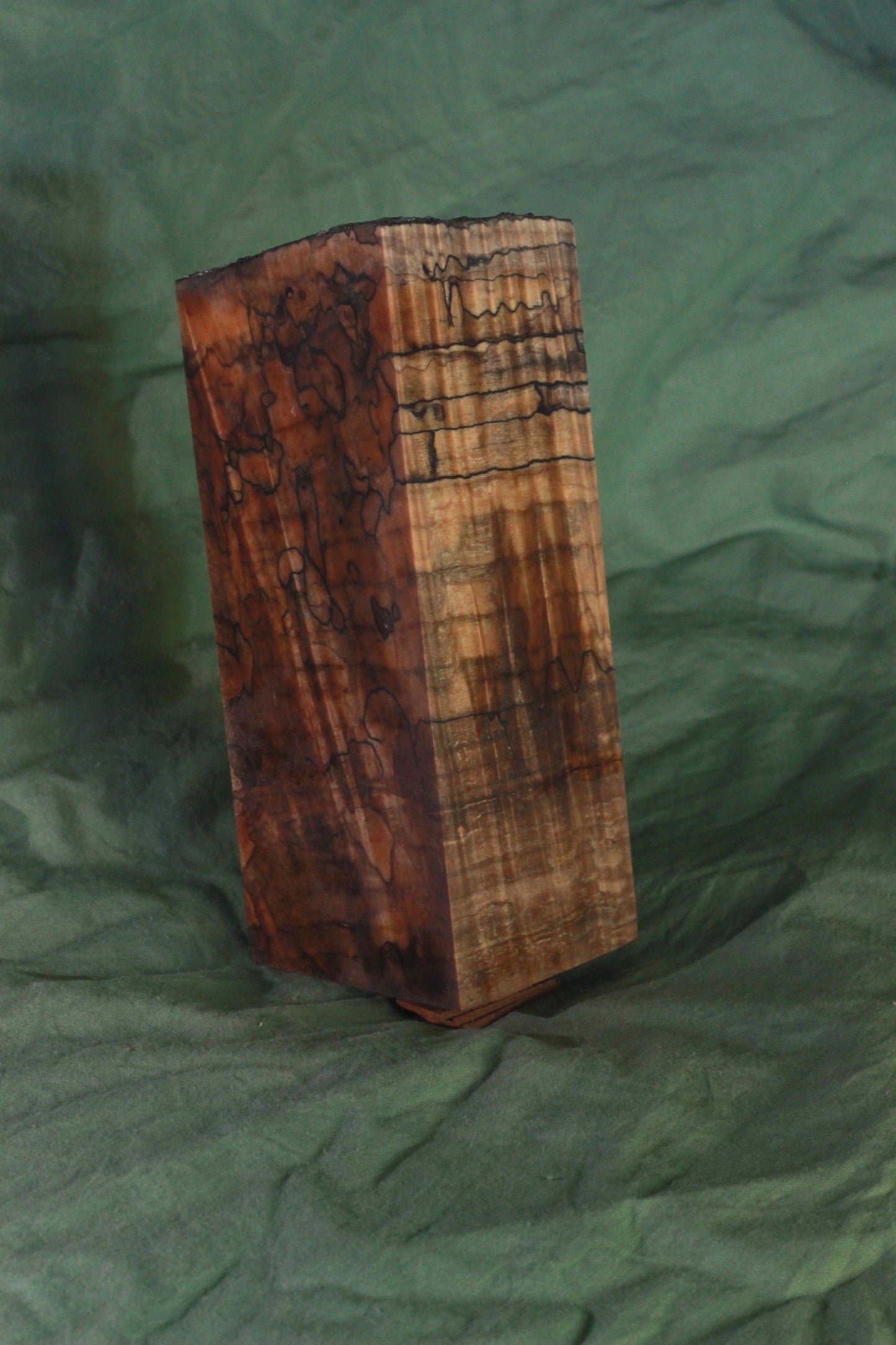 Stabilized Spalted Curly Maple Blank