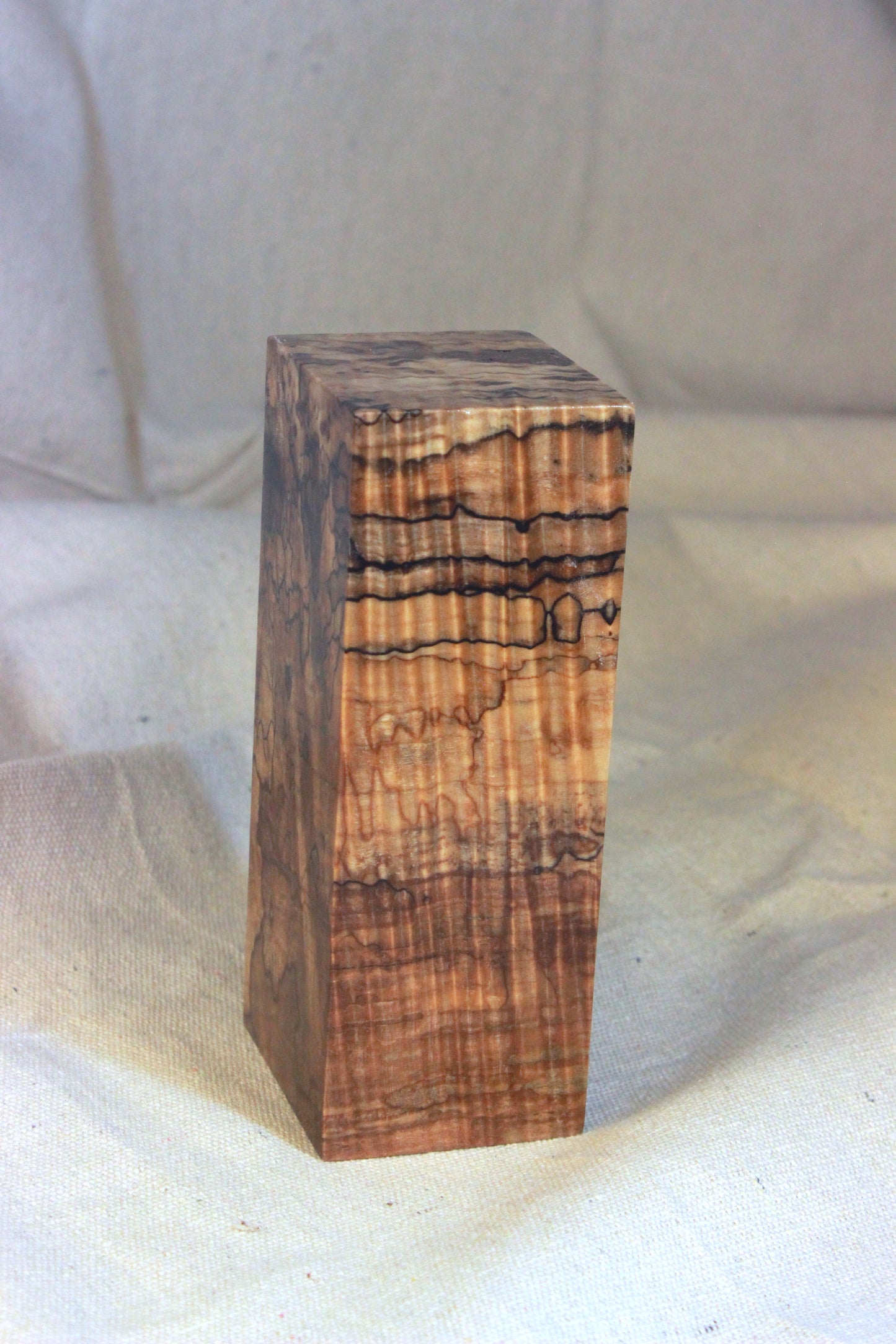 Stabilized Spalted Curly Maple Blank