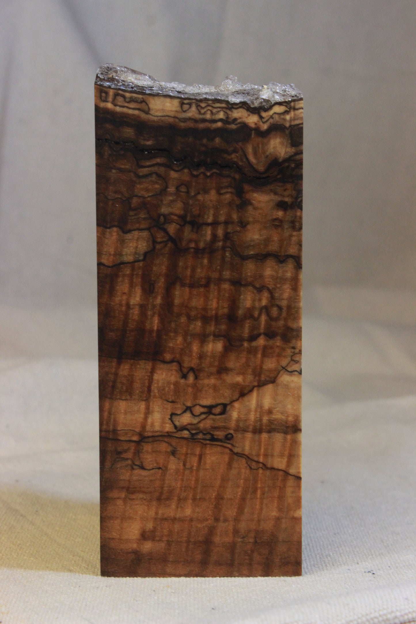 Stabilized Spalted Curly Maple Blank