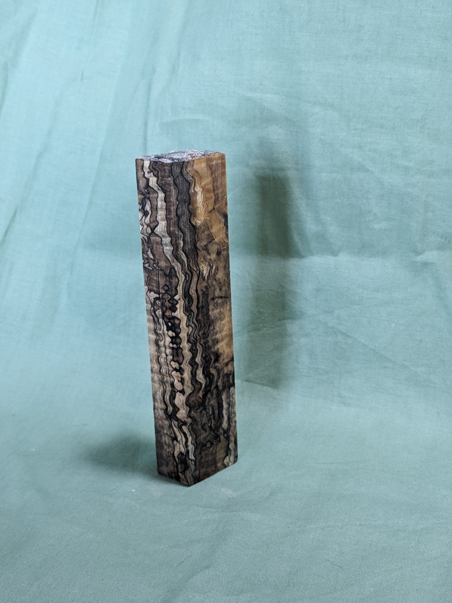 Stabilized Spalted Curly Maple Blank