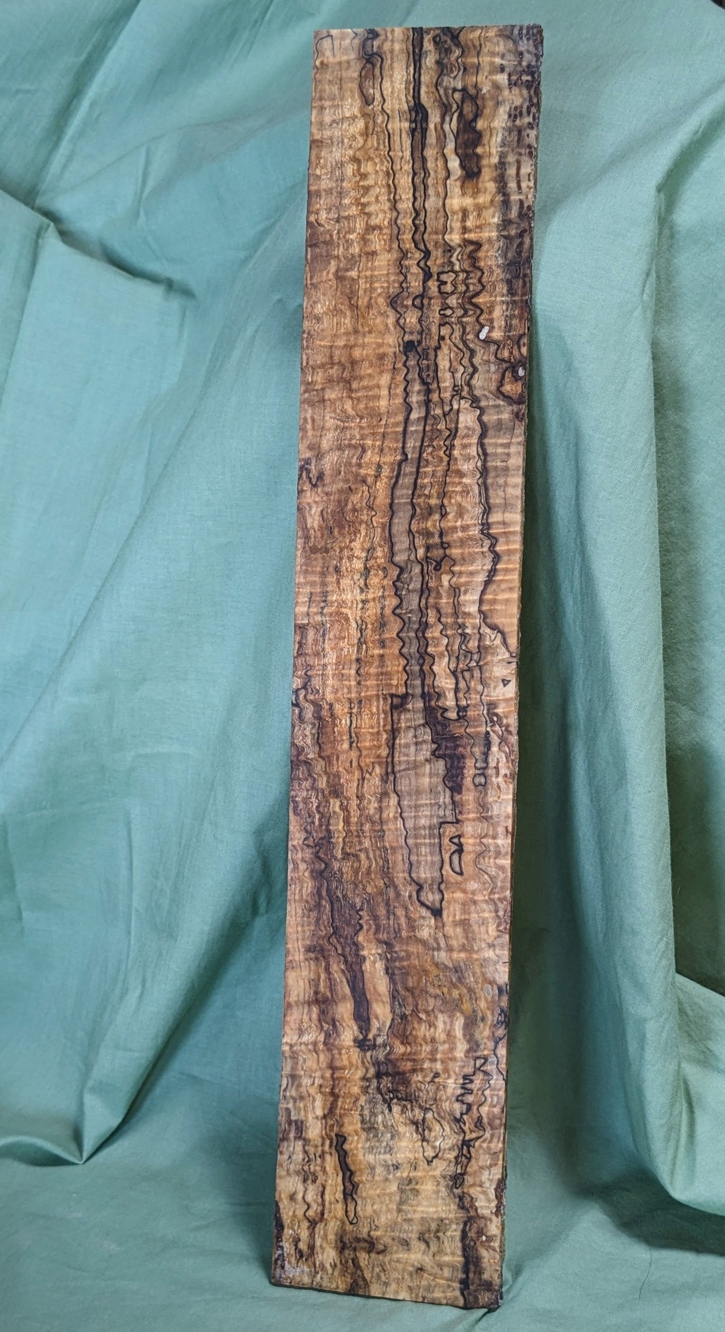 Stabilized Spalted Curly Maple Blank