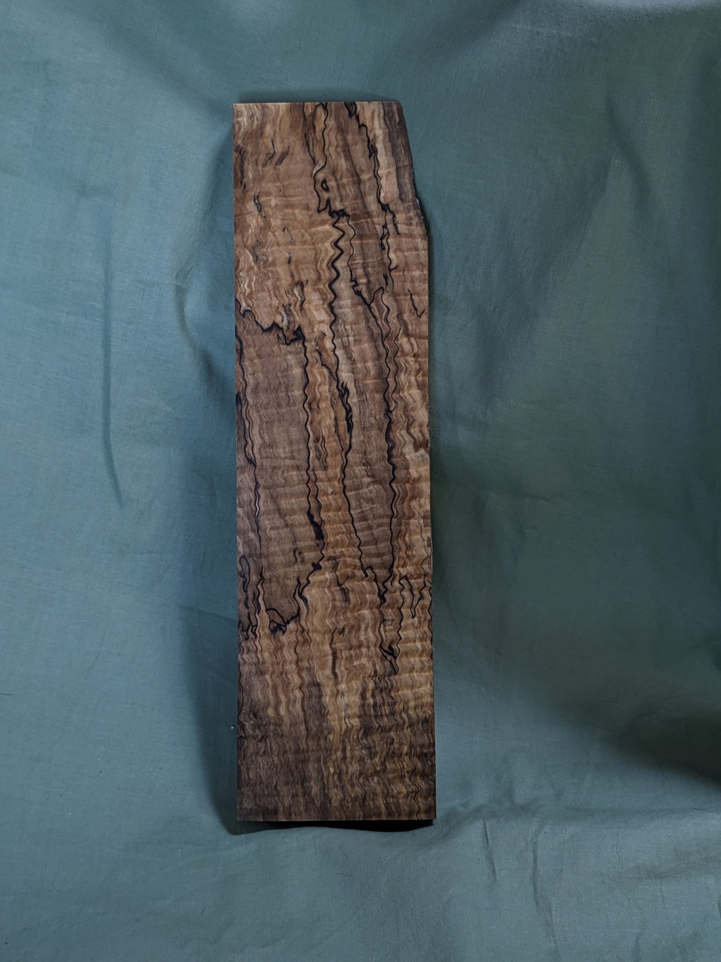 Stabilized Spalted Curly Maple Blank