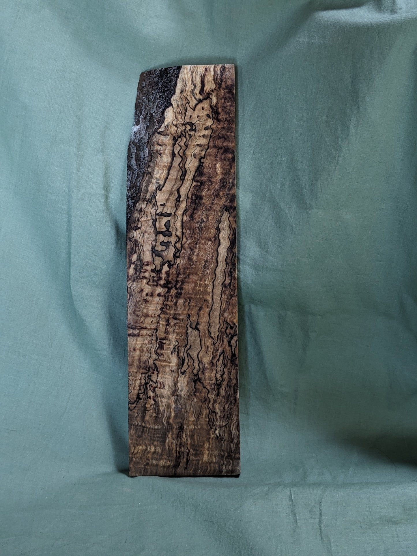 Stabilized Spalted Curly Maple Blank